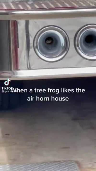 Hippity honkity