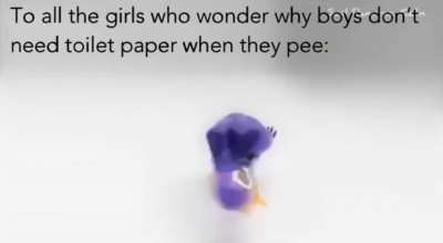 bird = cock??!?!