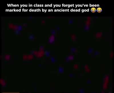 aeuigbfndmsm