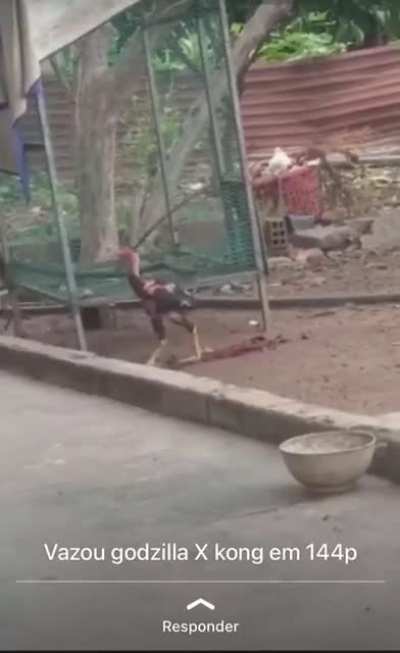 Até que dá pra assistir em 144p