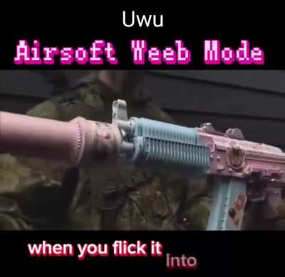 The 2nd Anime-ndment