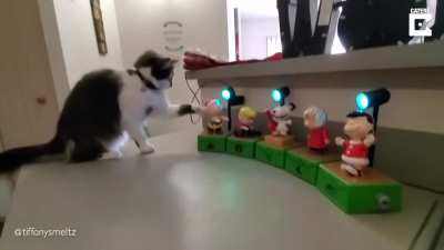 Startled by musical Christmas decoration.