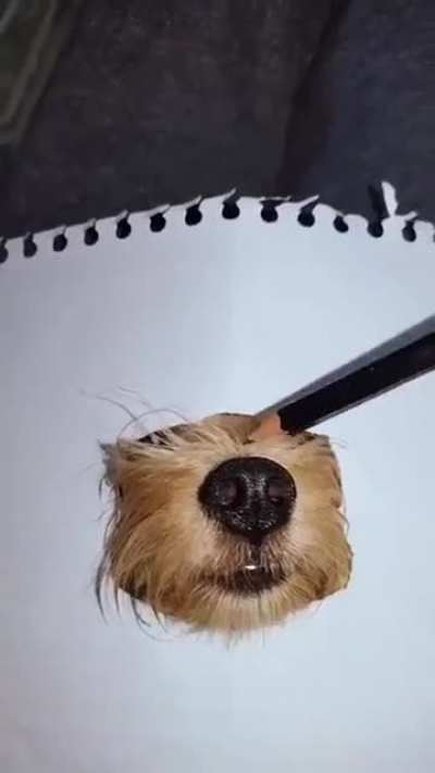 Drawing a dog
