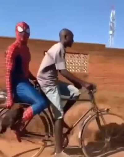 Spiderman homeless