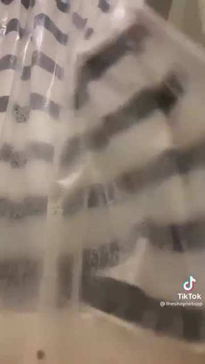 aaa