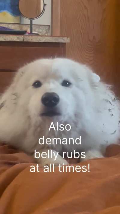 This is for the other puppers only, ppl move along.  This is good advices