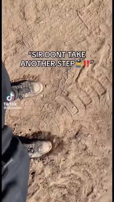 SIR:
