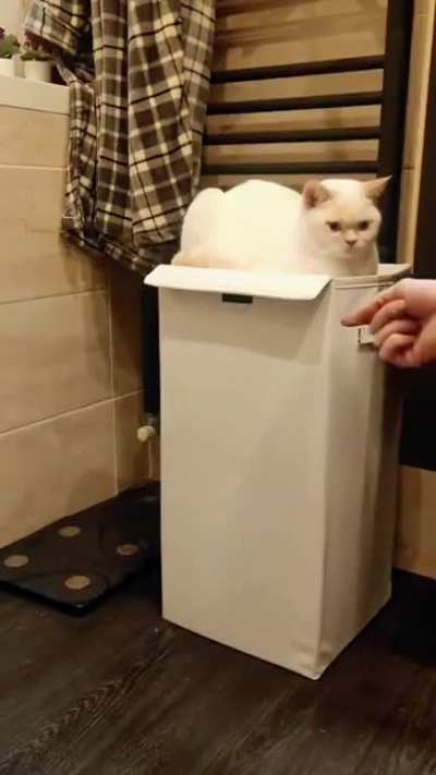 Бум