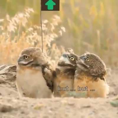 That's a nice stick you got there Steve