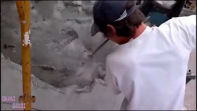 Hard working Ivane