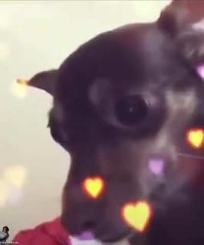 Fofinho!