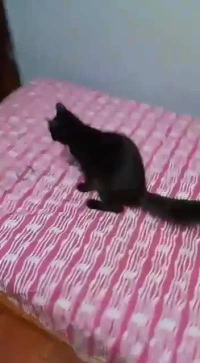Hola, soy Kuroro y vengo al Martes de Michis