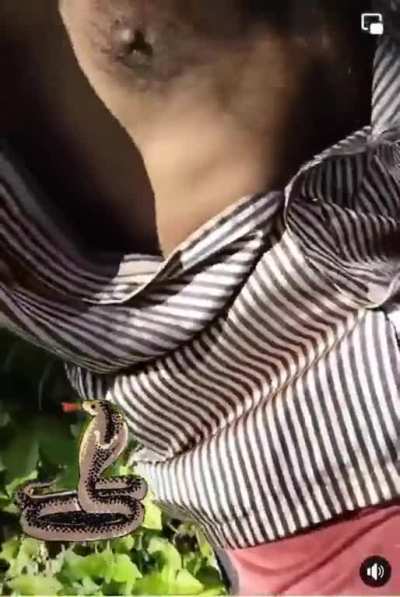 Cobra inside man’s shirt