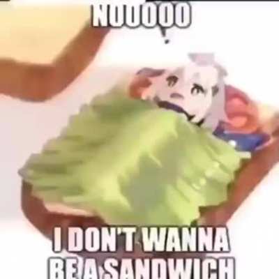 Sdwich