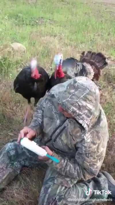Turkey Season
