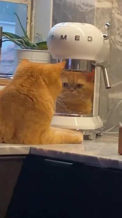 Коть, чё хмурый такой....?