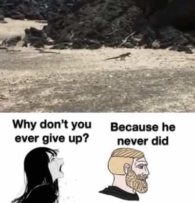 Not that moldy