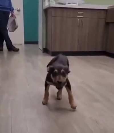 Vibin Woofer