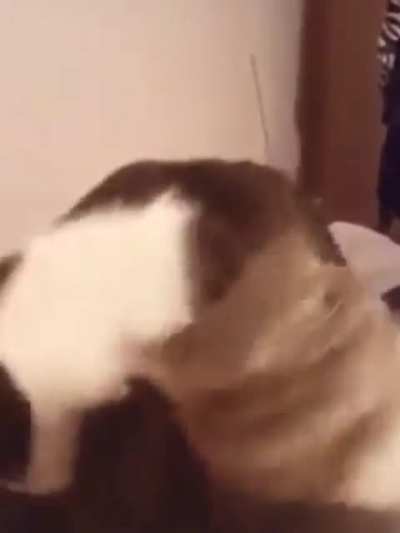 AAAAAAAAAAAA