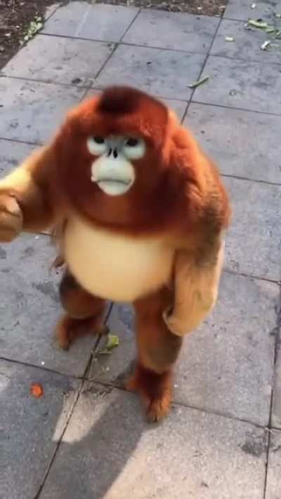 Un año en Reddit y r/MAAU, un saludo licenciados y gracias por las risas, espero todos se encuentren bien 🥳