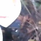 Cursed_video
