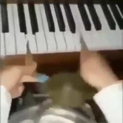 ¡Ritmo!