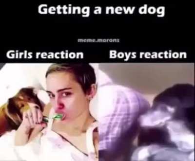 boys be like