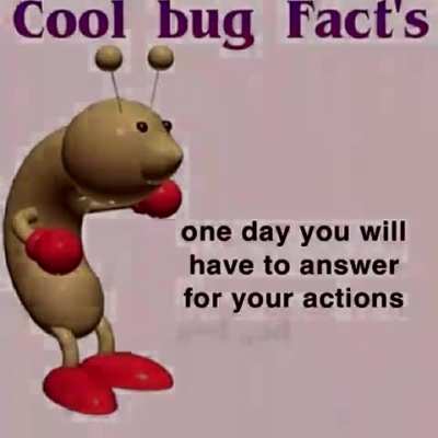 Cool facts