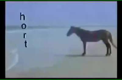 hort