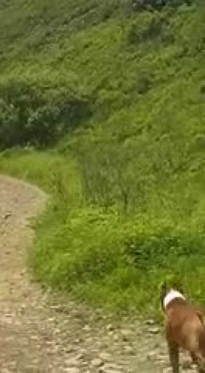 HMFT after I roll down a hill