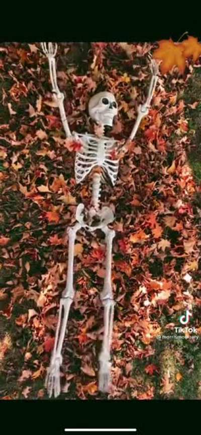 Autumn leaves