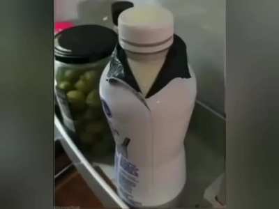 10 years in the fridge