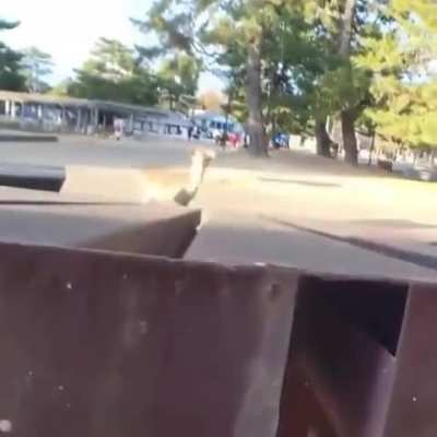 Maybe maybe maybe 
