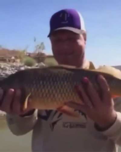 carp