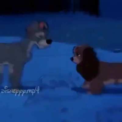 esse vídeo é muito emocionante