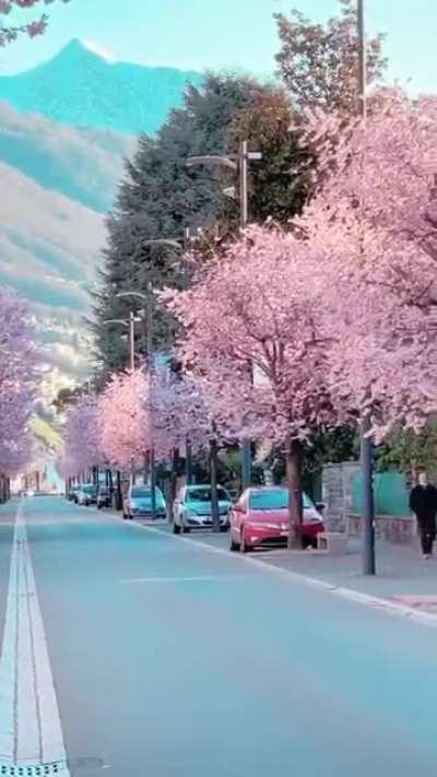 🔥 Beautiful spring in Locarno, Switzerland!