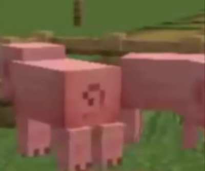 what da pigs doing