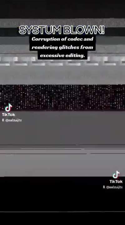Systum Blown on TikTok