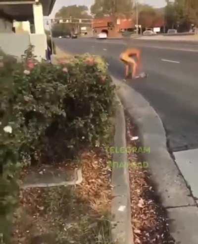 Wtf part 5 maybe