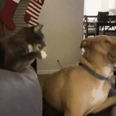 Hey you awake? Yeah why? Violence.