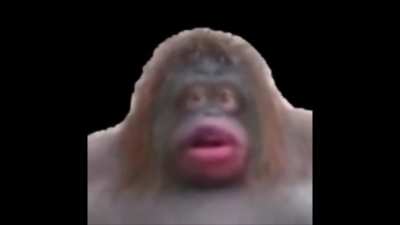Monke Baka Mitai