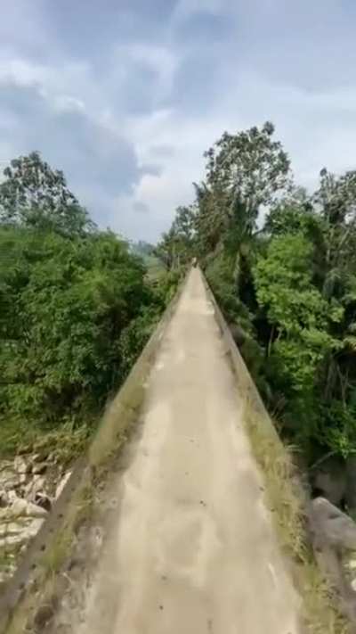 Do you dare to cross this bridge?