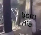 Boa noite