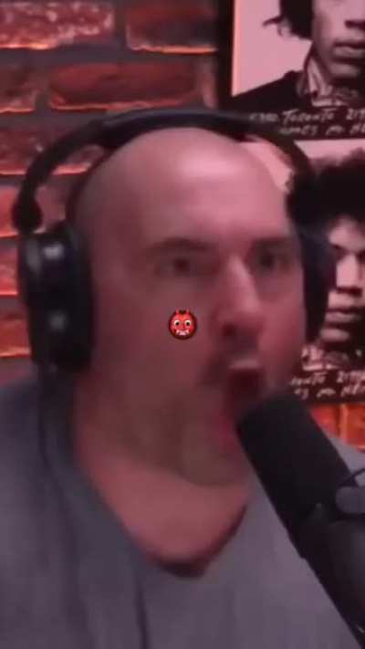 Most logical Joe Rogan podcast