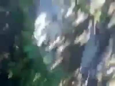Не знаю баян нет, короче художественное кино довыебывались
