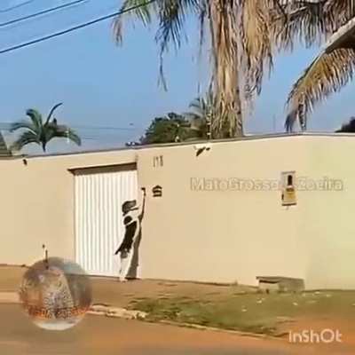 Doggo ringing the bell to enter home