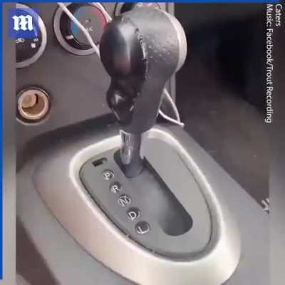 Turning a Nissan into a 