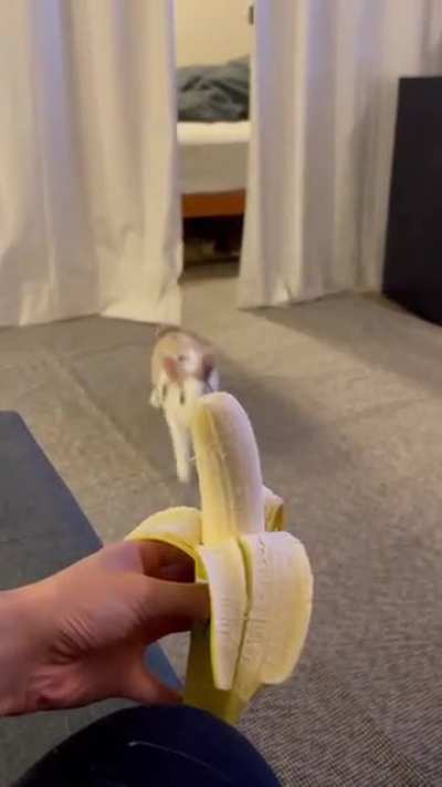 Faster than the speed of light