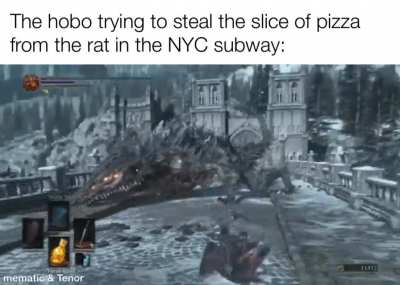Average day in Ratyork