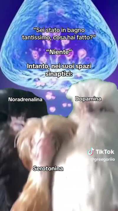 HAHAHAH